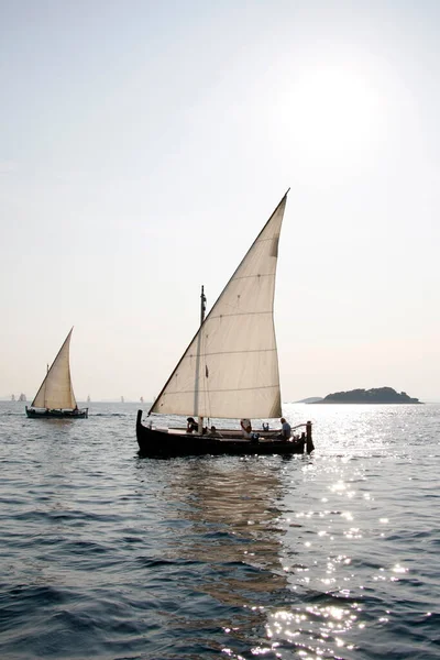 Murter Croatia September 2009 Traditional Wooden Sailboats Regatta Latin Sail — Stock Photo, Image