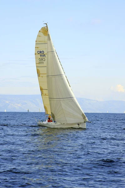 Split Vis Croaţia Octombrie 2010 Barca Pânze Timpul Regattei Split — Fotografie, imagine de stoc