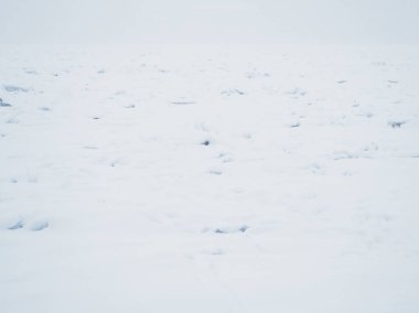 St. Petersburg.Icy nehir kar fırtınasında.