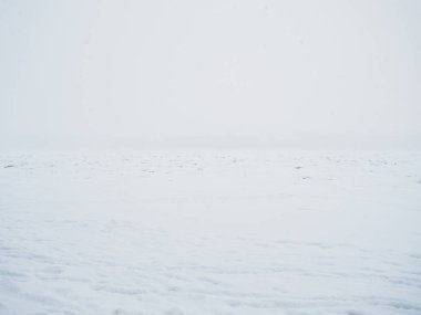 St Petersburg kar fırtınası. Buzlu nehir.