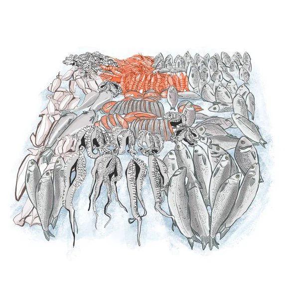 Ручной рисунок рынка свежей рыбы. Разные рыбы, лосось, осьминог — стоковое фото