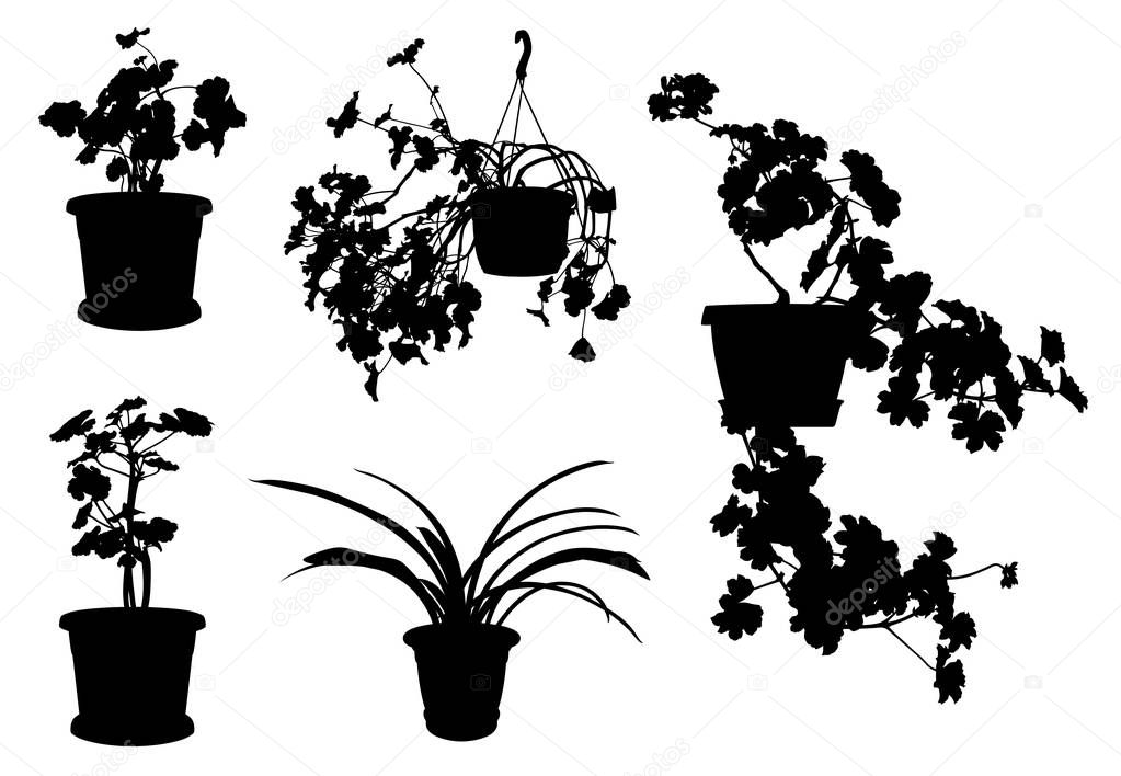 Set of different flowers in pots isolated on white