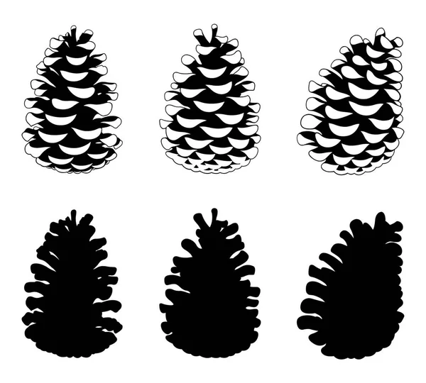 Set Different Pine Cones Isolated White — Stock Vector