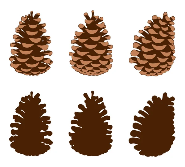 Group Different Pine Cones Isolated White — Stock Vector