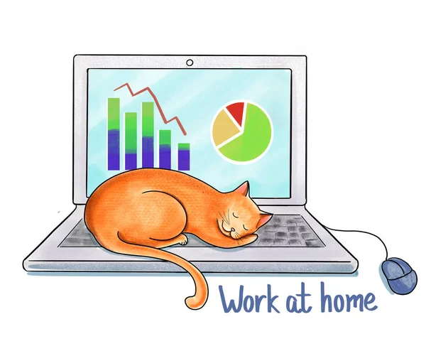 Evcil kedili ev ofisi. Klavyede uyuyan kızıl kedili dizüstü bilgisayar. Evden bilgisayarla kablosuz kulaklıkla çalışıyor..