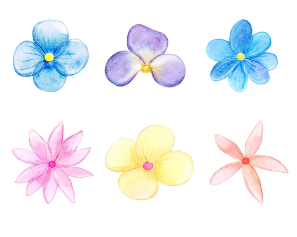 Şirin çiçekler, yapraklar ve dallar suluboya seti. Suluboya çiçek koleksiyonu. Büyük Set suluboya elementleri - kır çiçekleri, otlar, yapraklar