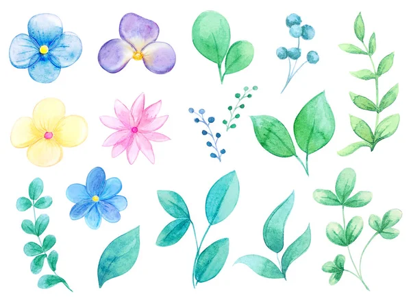 Şirin çiçekler, yapraklar ve dallar suluboya seti. Suluboya çiçek koleksiyonu. Büyük Set suluboya elementleri - kır çiçekleri, otlar, yapraklar