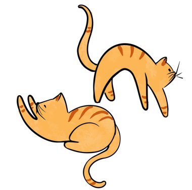 Bir grup komik kedi yalan söylüyor, oturuyor, kendini geriyor, uyuyor. Düz çizgi film vektör çizimi. Farklı pozları olan sevimli çizgi film kedisi seti.