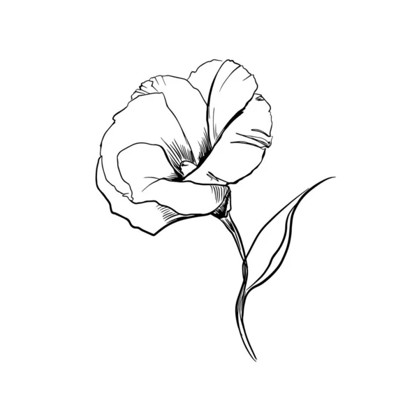 Arte da linha de flores. Desenho de contorno minimalista. Trabalho de arte de linha. Han desenhado ilustração flor —  Vetores de Stock