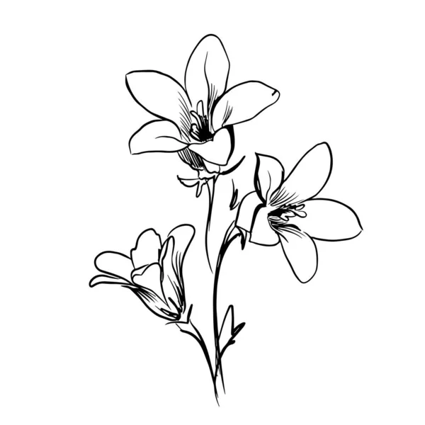Arte da linha de flores. Desenho de contorno minimalista. Trabalho de arte de linha. Han desenhado ilustração flor —  Vetores de Stock