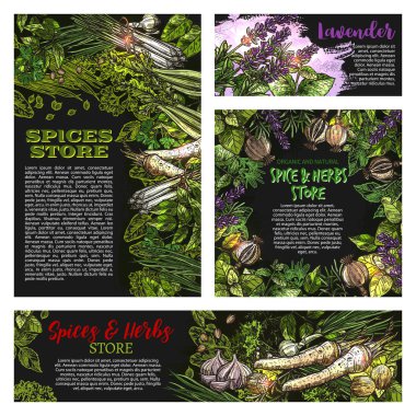 Baharat ve otlar vetctor Mağazası kroki posterler