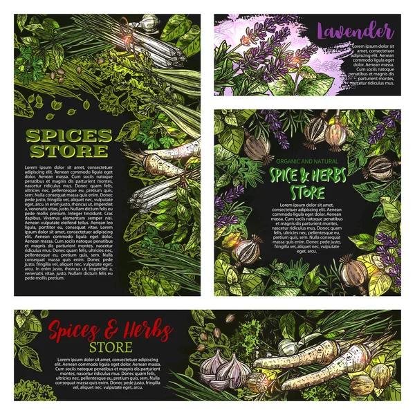 Baharat ve otlar vetctor Mağazası kroki posterler