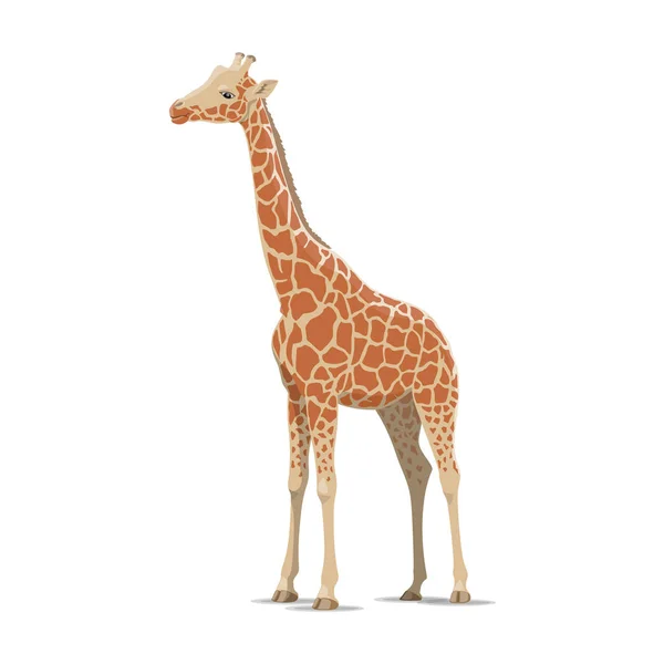 Giraffa vettore animale selvatico isolato icona — Vettoriale Stock