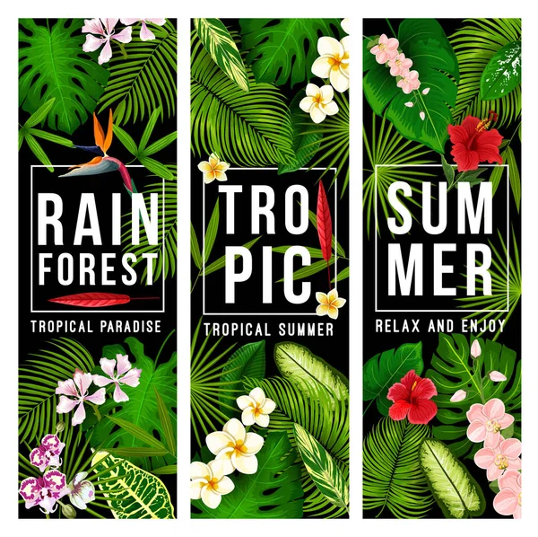 Sommaren tropiskt paradis semester banner med palm — Stock vektor