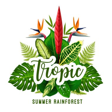 Palmiye yaprağı poster için yaz tropikal tatil