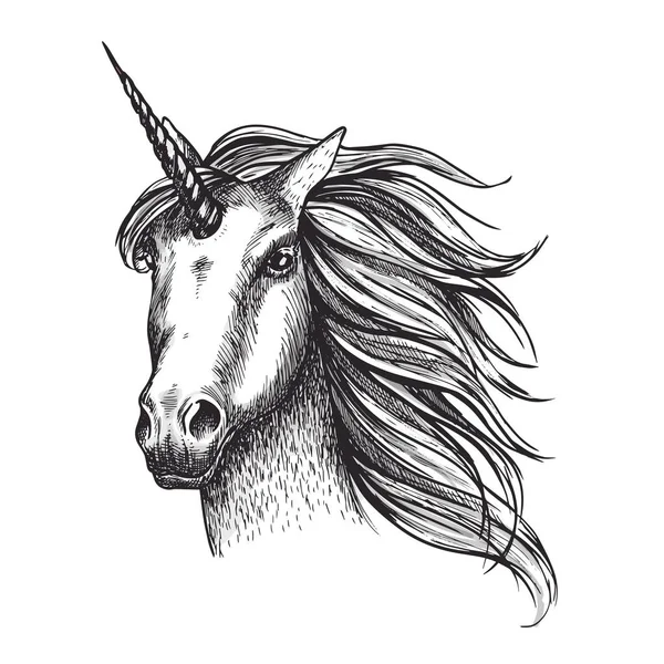 Unicorn horse vector sketch fairy tale animal head - Stok Vektor