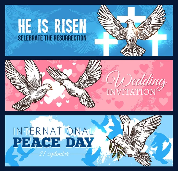 Taubenvogel-Banner für Hochzeit und Religion — Stockvektor