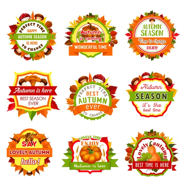 Autumn nature badge set with leaf and pumpkin — Stock Vector