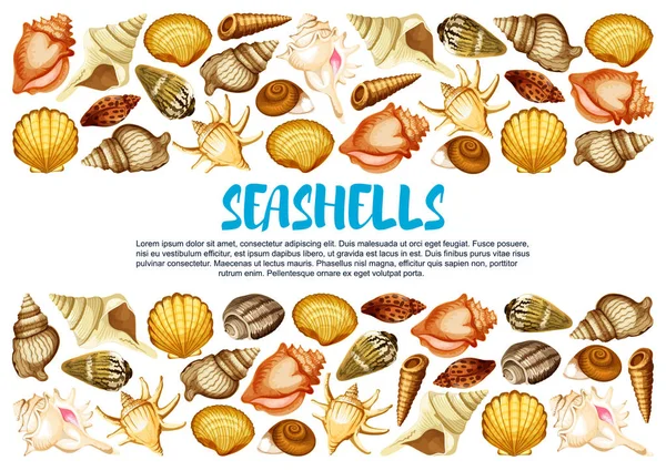 Seashell banner with marine mollusc shell border — Stock Vector