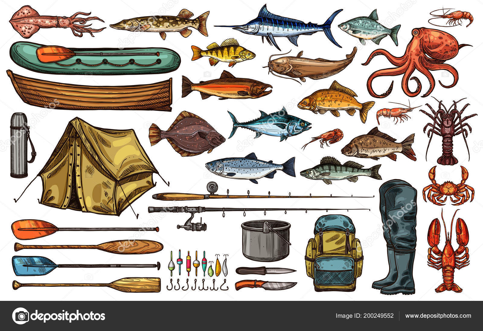 Fishing equipment and fisherman trophy fish sketch Stock Vector by  ©Seamartini 200249552