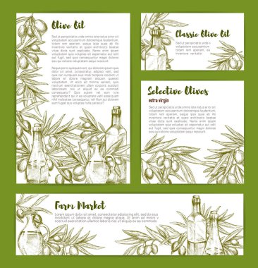 Zeytin ve zeytin yağı vektör poster seti kroki