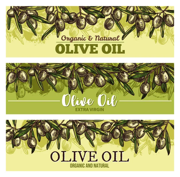 Bandiera dell'olio d'oliva con bordo di schizzo di frutta verde — Vettoriale Stock