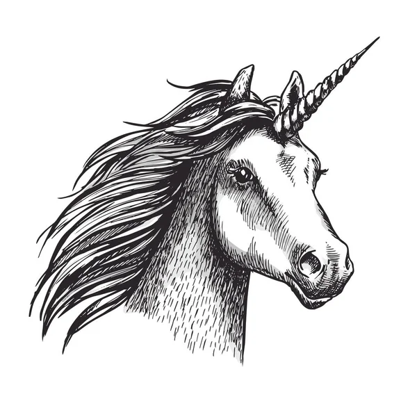 Unicorn vector sketch mystic magic horse - Stok Vektor