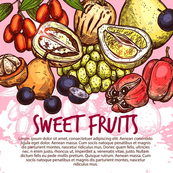 Exotické ovoce nebo sladké tropické berry skica plakát — Stockový vektor