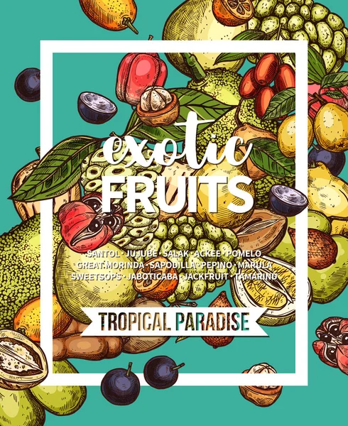 Egzotik tropik meyve afiş gıda tasarım kroki — Stok Vektör