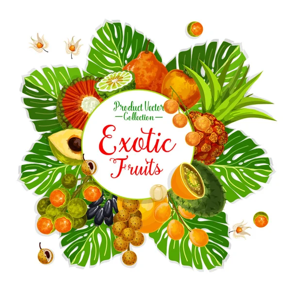 Egzotikus Gyümölcs Bogyó Poszter Trópusi Pálma Levél Mandarin Kiwano Physalis — Stock Vector