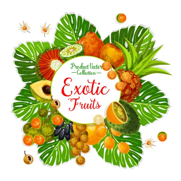 Egzotik meyve ve berry posteri tropikal palmiye yaprağı. Mandalina, kiwano ve physalis, pandan, longkong ve jambolan, lucuma, mamoncillo ve cocona, bael ve puhala doğal gıda ve içki tasarımı için