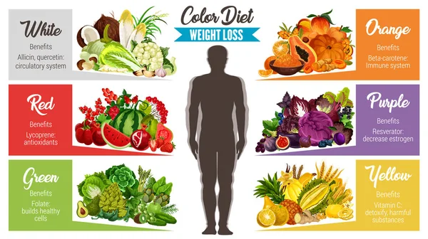 Color dieta saludable banner de alimentos para la pérdida de peso — Vector de stock