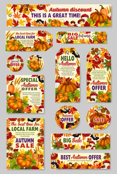 Boutique de vente d'automne ou remise vectorielle du marché agricole — Image vectorielle
