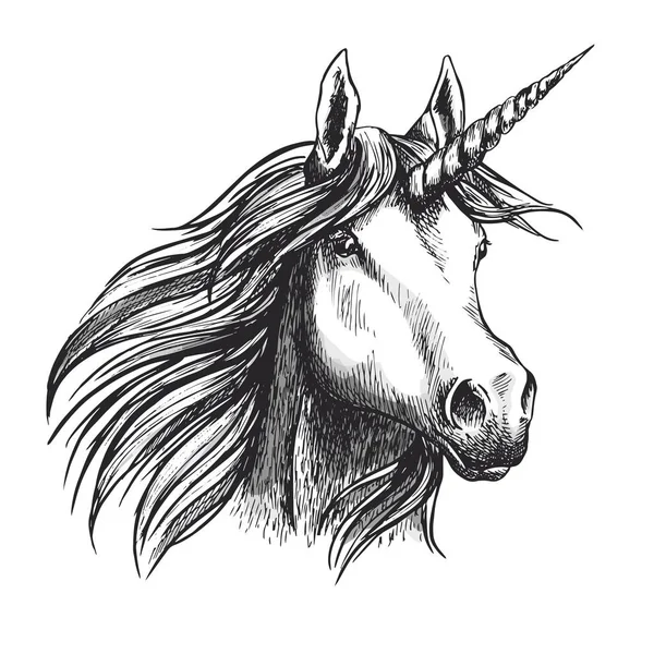 Unicorn horse vector sketch fairy tale animal head - Stok Vektor