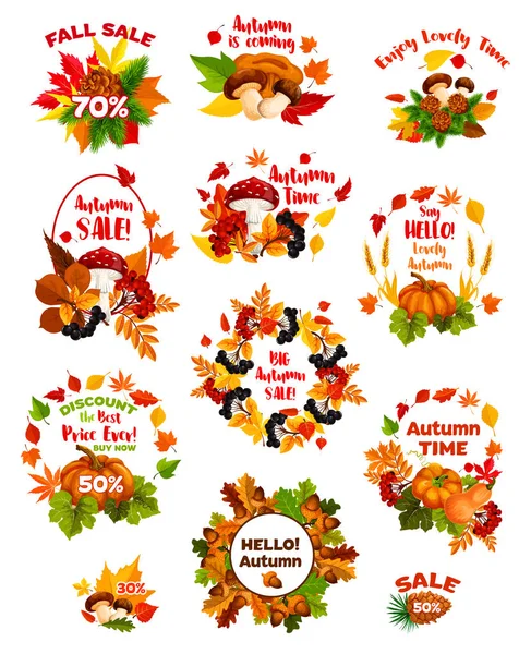 Ensemble d'étiquettes de vente d'automne de légumes et de feuilles d'automne — Image vectorielle