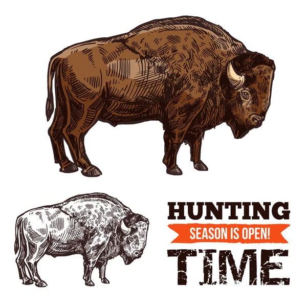 Bison, buffalo, bull or ox wild animal sketch — Stock Vector