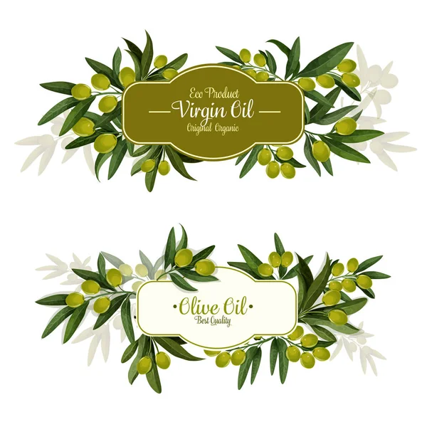 Etichetta olio di oliva con frutta verde per food design — Vettoriale Stock