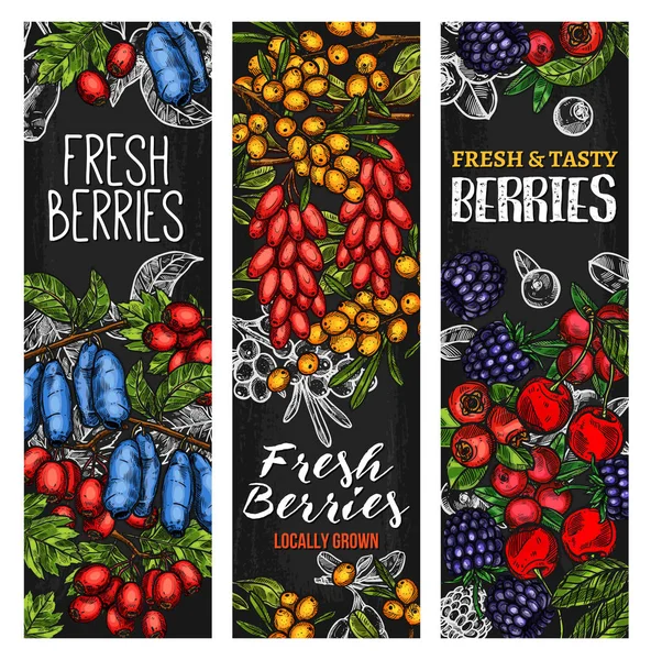 Wild berry lub świeżych owoców tablica transparent projekt — Wektor stockowy