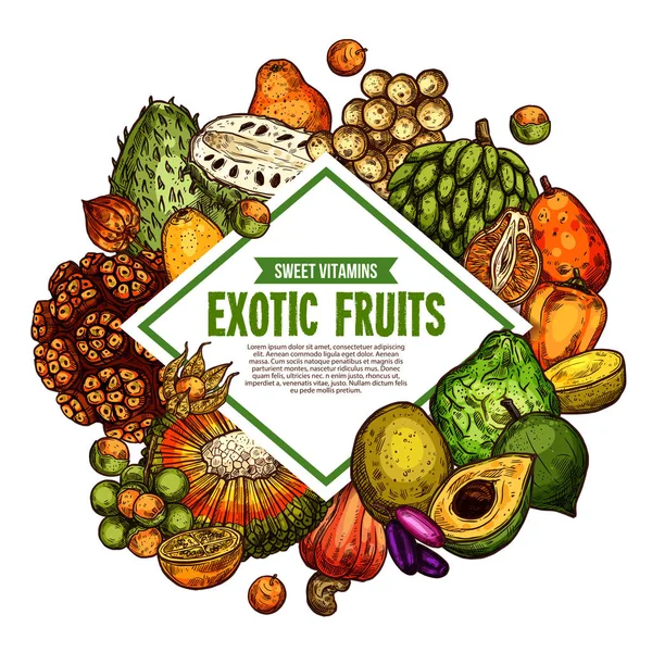 Cartel de bosquejo vectorial de frutas exóticas — Archivo Imágenes Vectoriales