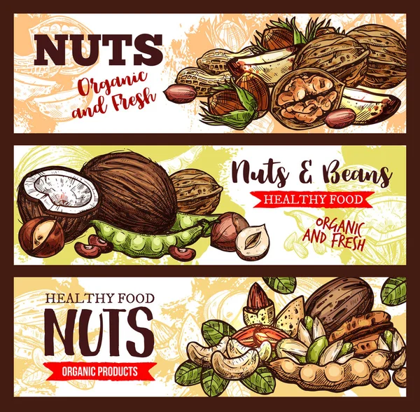 Croquis vectoriel bannières de noix et haricots — Image vectorielle