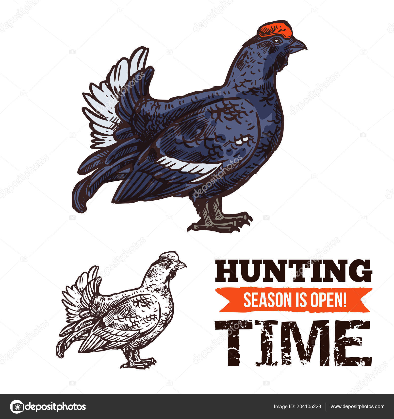 Plakat fra Capercaillie fuglejakt stockvektor © VectorTradition #204105228, image size:1600x1700