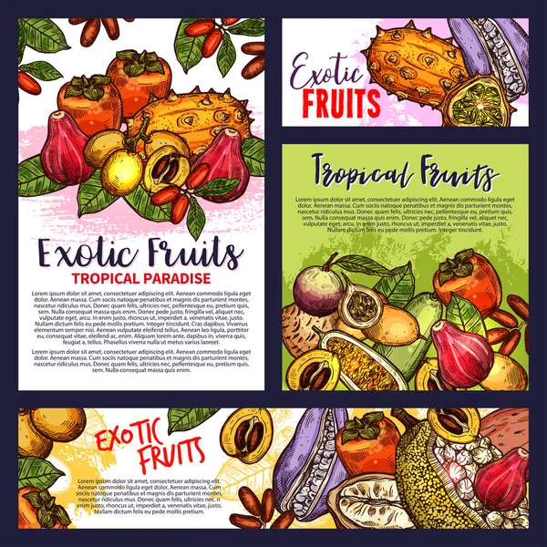 Carteles de frutas exóticas tropicales vector de comestibles — Archivo Imágenes Vectoriales