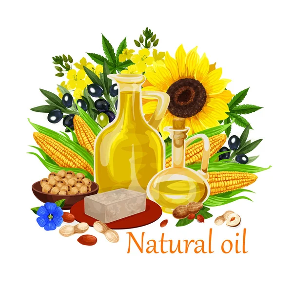 Naturalny olej orgin roślin i orzechy wektor plakat — Wektor stockowy