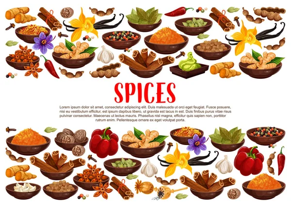 Spices and condiments cooking ingredients poster — Stock Vector