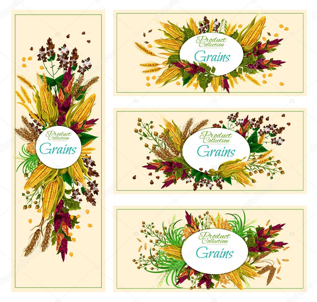 Organic cereals collection edible grains banners