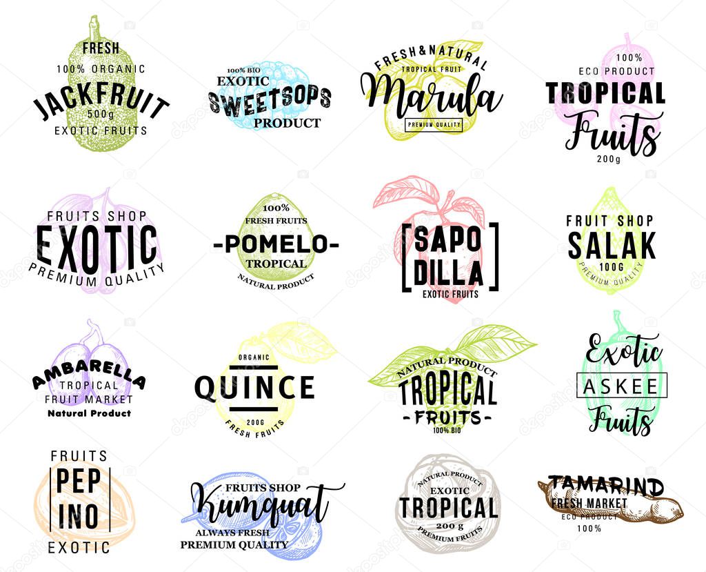 Fruits of exotic origin icons, pastel sketches. Natural tropical food jackfruit and pops, marula and pomelo, sapodilla and salak, tamarind and kumquat, quince and pepino, ambarella vector isolated.