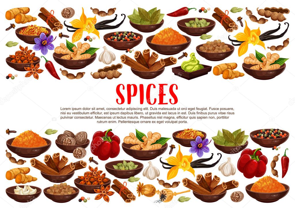 Spices and condiments cooking ingredients poster