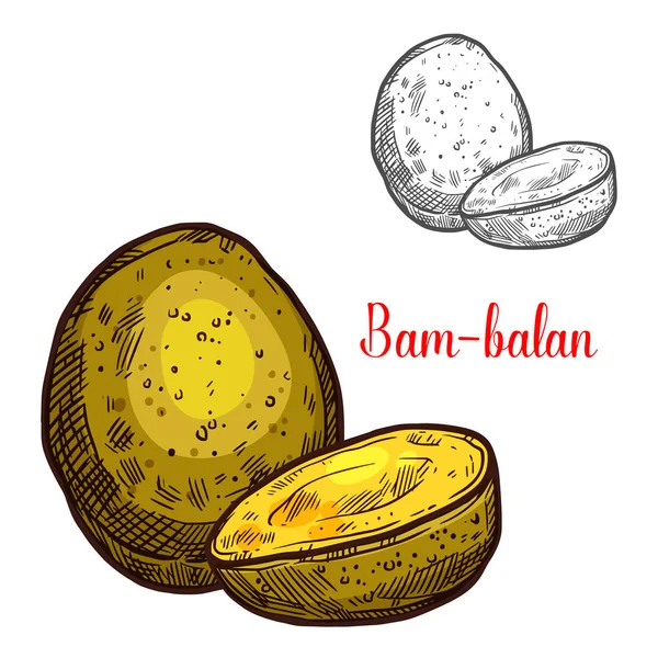 Bam-balan vector schizzo giallo frutta tropicale — Vettoriale Stock