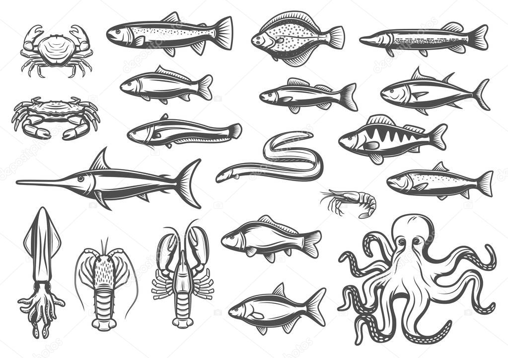 Vector sketch icons of fish and seafood
