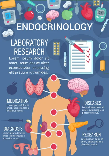 Cartaz de endocrinologia com sistema endócrino humano — Vetor de Stock